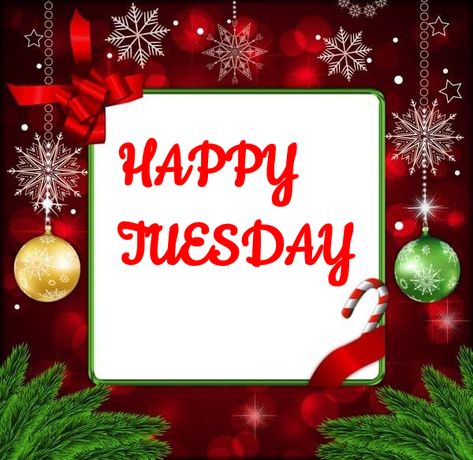 Tuesday Christmas Quotes, Tuesday Christmas Images, Happy Tuesday Christmas Images, Happy Tuesday Christmas, Tuesday Christmas, Tuesday Greetings, Weekday Quotes, Christian Christmas, Happy Tuesday