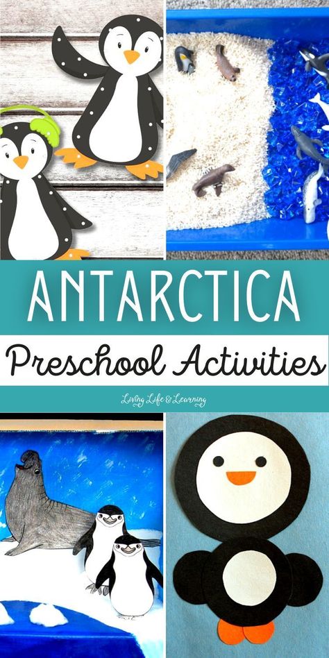 Embark on an icy expedition with your little ones through our enchanting collection of Antarctica Preschool Activities! Perfect for your homeschool winter unit study and for curious minds eager to explore the wonders of the South Pole from the warmth of home. Winter Unit Preschool, Winter Unit Study, Antarctica Activities, Winter Stem Activities, Cycle For Kids, Whale Crafts, Winter Unit, Penguin Species, Preschool Stem