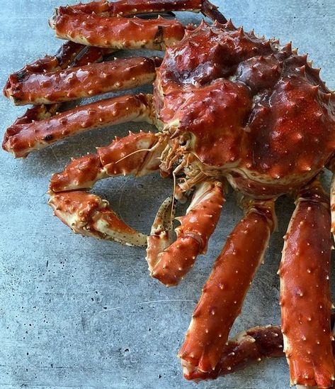 Crab Photography, Red King Crab, Red King, King Crab, Russian Blue, Meat Jerky, Crab, Healthy Recipes, Texture