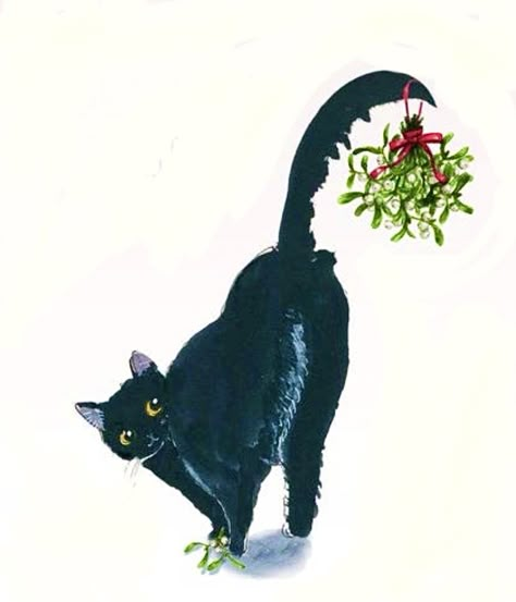 Christmas Black Cat Wallpaper, Black Cat Christmas Art, Christmas Cat Art, Black Cat Fireworks, Christmas Black Cat, Black Cat Christmas, Gimlet, Winter Cat, Black Cat Art