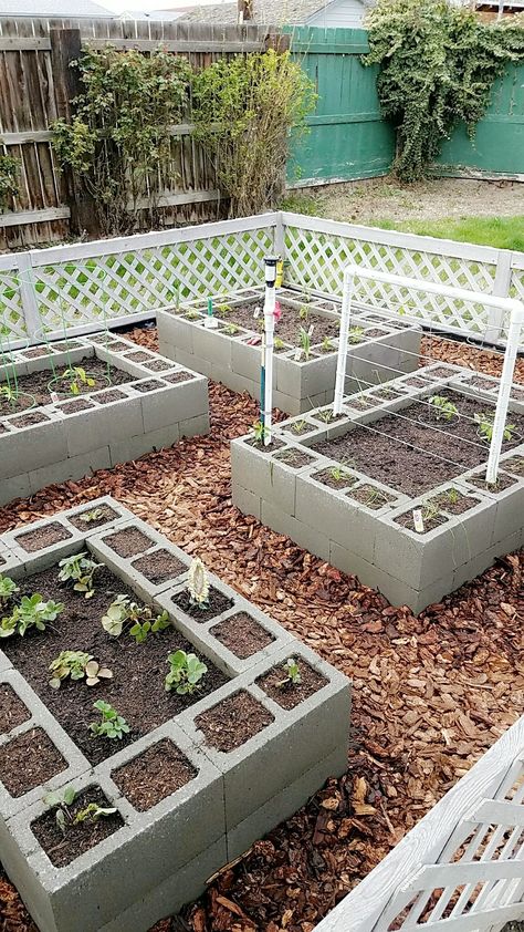 Small Garden Bed Ideas, Cinder Block Garden, Building A Raised Garden, Fountain Design, Backyard Vegetable Gardens, Raised Garden Beds Diy, Veg Garden, Home Vegetable Garden, Garden Yard Ideas