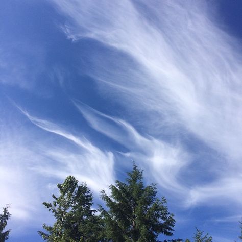 Cirrus Cloud, Green Landscapes, Inktober 2024, Flint Hills, Cloud Wall, Ghost Story, Clouds Photography, Sky Color, Natural Line