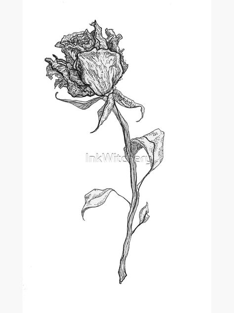 Rotting Flowers Drawing, Wilted Flowers Tattoo, Wilting Flowers Drawing, Wilting Flower Tattoo, Dead Rose Drawing, Wilting Rose Tattoo, Wilted Flower Drawing, Wilted Rose Tattoo, Dead Flower Drawing