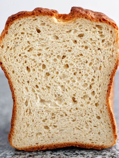 Kim’s Gluten Free Bread Flour Blend, Gluten Free Multigrain Bread, Gf Bread Recipe, Gluten Free Bread Flour, Gluten Free Dinner Rolls, Dairy Free Protein, Multi Grain Bread, Multigrain Bread, Toasted Oats