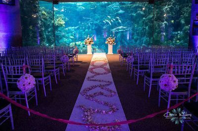 Aquarium Wedding Ideas, Shark Wedding, Tampa Wedding Venues, Aquarium Moss, Florida Aquarium, Aquarium Wedding, Yosemite Wedding, Sea Wedding, Ocean Wedding