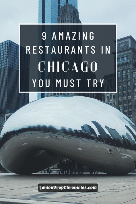 9 Amazing Restaurants In Chicago You Must Try Chicago Rooftop Restaurants, Rooftop Chicago, Chicago Lyrics, Millenium Park Chicago, River North Chicago, Grant Park Chicago, Chicago Restaurants Best, Millennium Park Chicago, South Side Chicago