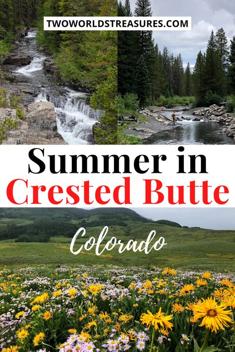 Things To Do In Crested Butte Colorado, Crested Butte Colorado Wildflowers, Crested Butte Wildflower Hikes, Created Butte Colorado, Crested Butte Colorado Summer, Crested Butte Summer, Crested Butte Wildflowers, Colorado Autumn, Colorado Hiking Trails