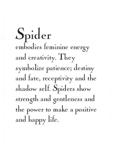 Spiders Symbolism, Spirit Animal Spider, Spider Symbolism Meaning, Spider Spirit Animal Meaning, Spiritual Spider Tattoo, Black Widow Spider Spiritual Meaning, Spider Quotes Inspirational, Animal Symbolism Tattoo, Spider Spirit Animal