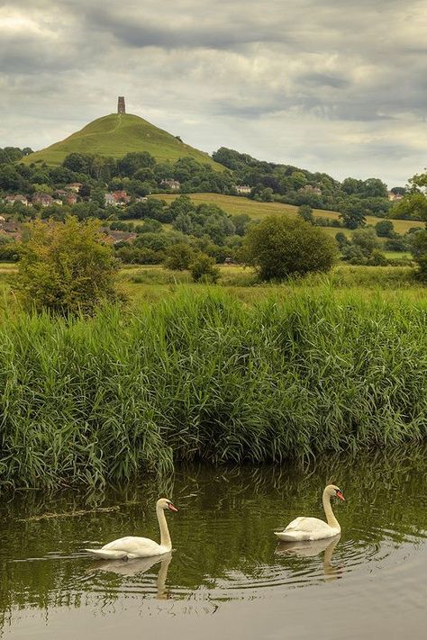 Home On A Hill, Mystic Landscape, Celtic Rose, Glastonbury England, Glastonbury Tor, Swan Painting, Somerset England, Mystical Places, Dawn And Dusk