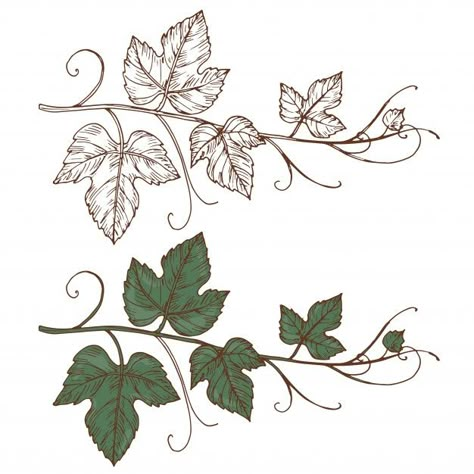 Wine Glass Tattoo, Grapevine Leaf, Wine Leaves, Nouveau Tattoo, Wine Logo, Vine Tattoos, Wine Label Design, Engraving Illustration, Floral Texture