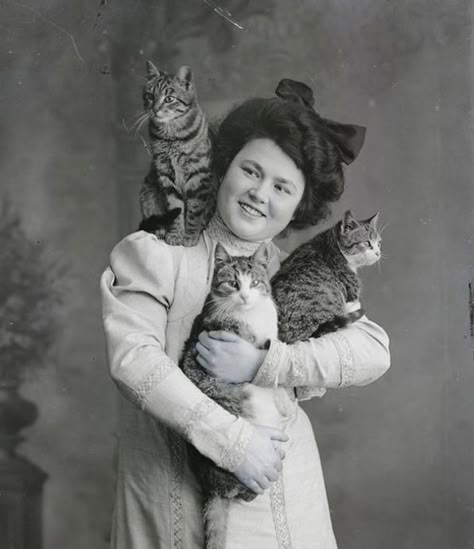 She And Her Cat, People With Cats, Antique Photography, Instagram Portrait, Vintage Animals, Kitten Photos, Vintage Cats, Cat Images, Cat Pose