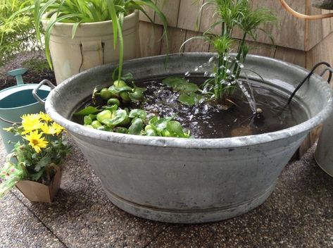 Tub Pond, Ponds For Small Gardens, Container Water Gardens, Patio Pond, Water Gardens Pond, Galvanized Tub, Metal Tub, Diy Pond, Pond Ideas