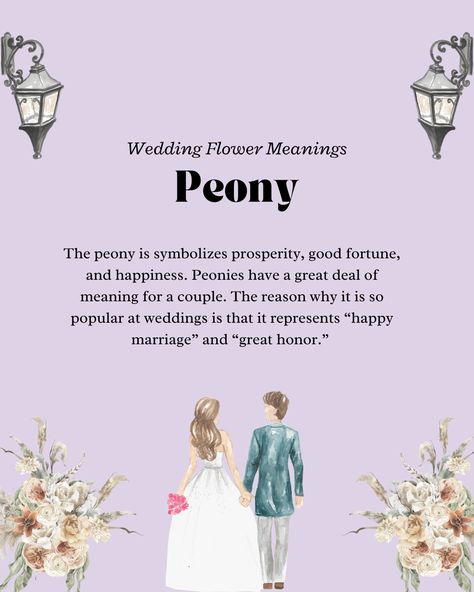 Flower Bouquet Meaning, Wedding Flowers Meaning, Peony Flower Wedding, Flower Definitions, Wedding Meaning, Wedding Flowers Hydrangea, Hydrangeas Wedding, Flower Meanings, Peony Wedding