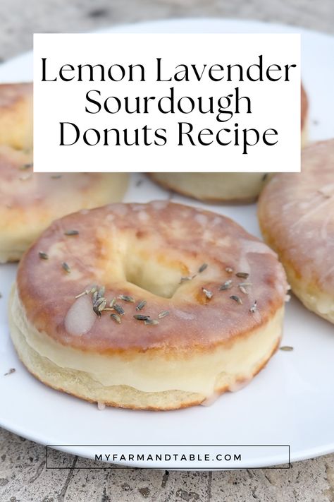 Indulge in our Lemon Lavender Sourdough Donuts Recipe! These delightful donuts combine the tangy flavor of sourdough with the refreshing taste of lemon and a hint of lavender. Perfect for breakfast or a sweet treat, these donuts are light, airy, and full of flavor. Our step-by-step guide ensures perfect results every time. Visit our blog for the full recipe and elevate your baking with these unique, flavorful donuts! Lavender Sourdough Bread, Lavender Sourdough, Sourdough Donuts Recipe, Sourdough Donut, Sourdough Treats, Sourdough Donut Recipe, Donuts At Home, Lavender Recipes, Culinary Lavender