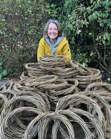 Karen Lawrence Basketry on Instagram: “100 wreaths ready to go to florists for kits. 😊 #willow #willowwreath #wreathkits #homemade #madeinsuffolk #adorningdoors #christmaswreath…” Willow Wreaths, Willow Wreath Diy, Willow Wreath Ideas, Willow Wreaths Christmas, Making A Willow Wreath, Large Willow Wreaths, Making Willow Baskets, Willow Wreath, Willow Weaving