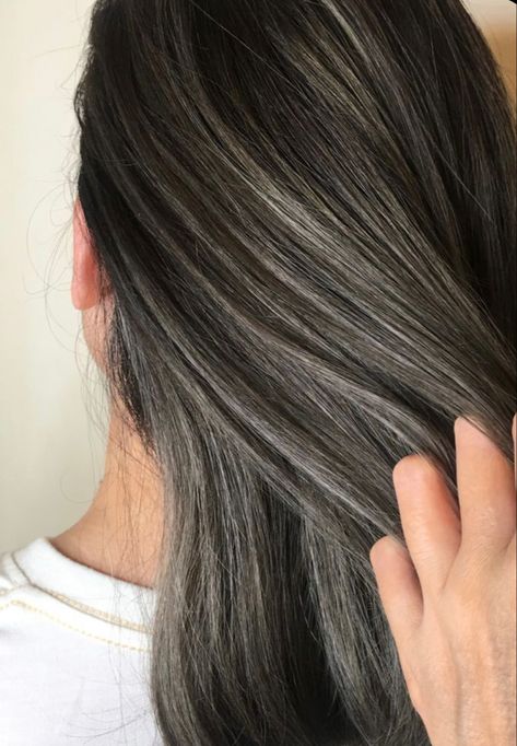 Brown Hair With Silver Streaks, Gray Blending Hair Dark Brown Long Hair, Ash Brown Hair Balayage, Gray Blending, Gray Highlights, Rachel Hair, Grey Blending, Black And Grey Hair, Grey Hair Inspiration