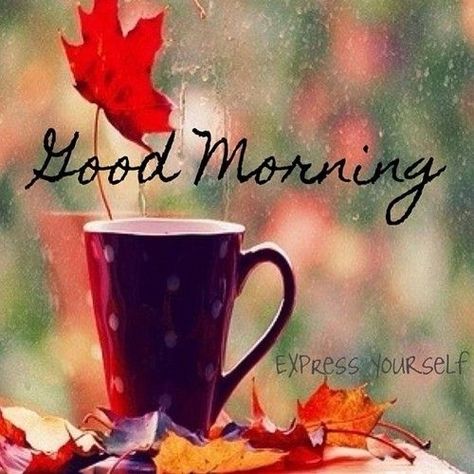 Good Morning coffee autumn morning good morning morning quotes good morning quotes Latest Good Morning, Good Morning Coffee Images, Good Morning Images Download, Morning Coffee Images, Morning Morning, Good Morning Images Hd, Morning Gif, Autumn Morning, Bon Weekend