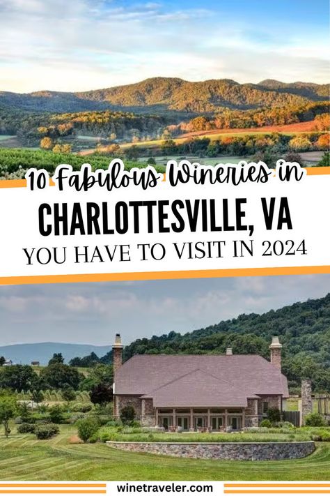 Here are the 10 best wineries in Charlottesville that you need to visit in 2024. Charlottesville, along with the rest of Virginia, is a delightful destination for wine lovers. Click through to discover the top wineries to visit in Charlottesville on this wine trip itinerary. Charlottesville Wineries, Virginia Wineries, Wine Tourism, Vacation Itinerary, Charlottesville Virginia, Small City, Us Travel Destinations, Charlottesville Va, Wine Travel