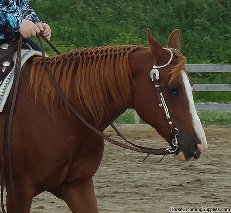 I wanna do my ponies hair like this and with pink bands. So cute! Horse Mane Styles, Mane Braiding, Horse Mane Braids, Cat And Horse, Horse Hair Braiding, Horse Braiding, Ranch Riding, Horse Showing, Horse Reining