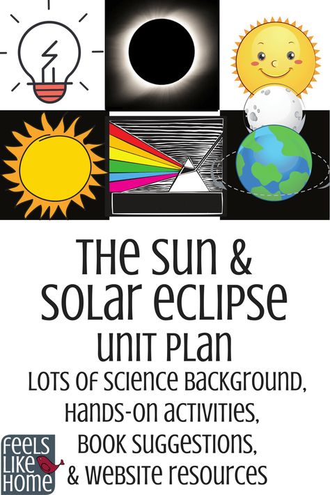 Stars Activities, Solar Eclipse Kids, Eclipse Facts, Earth Science Teacher, Eclipse Book, Solar Eclipse Activity, Solar And Lunar Eclipse, Eclipses Art, Sun Solar