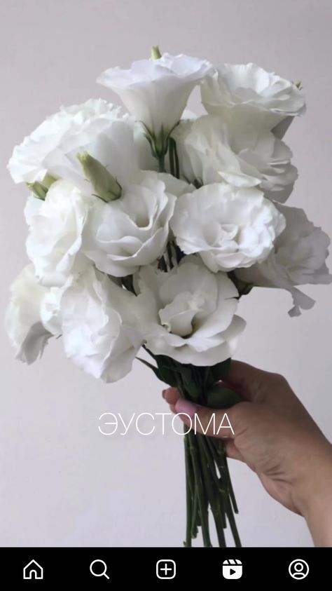 Bride Flower Bouquet Simple, White Lisianthus Bouquet, Small Bride Bouquets, Lisianthus Wedding Bouquet, Lisianthus Bridal Bouquet, White Bridesmaid Bouquet, Small Bridal Bouquet, Small Bridesmaid Bouquets, Single Flower Bouquet