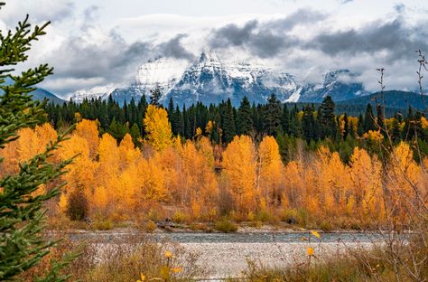 Summer Collapsed Into Fall, Montana Landscape, Visit Montana, Happy First Day Of Fall, Montana Vacation, Kalispell Montana, Montana Travel, Big Sky Montana, First Day Of Fall