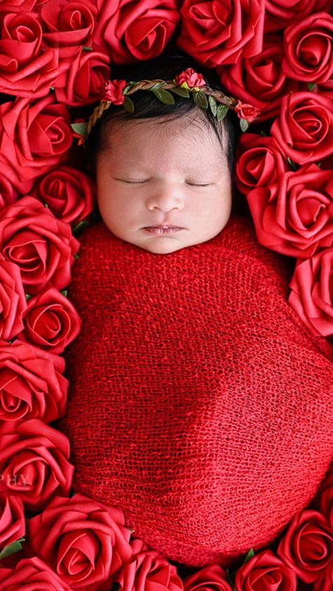 One of our newborn photography sessions gives you the option of including beautiful red roses as props to make your baby's first photoshoot even more memorable. Book your session now to capture these precious moments with your little one. Red Roses Maternity Shoot, Rose Newborn Photography, Red Newborn Photoshoot, Valentine Newborn Pictures, Newborn Baby Valentines Photoshoot, Newborn Valentines Day Photo Ideas, Red Rose Photoshoot, Newborn Valentine Pictures, Newborn Baby Girl Nursery