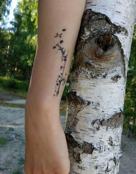 Simple Birch Tree Tattoo, Aspen Tree Line Drawing, White Birch Tree Tattoo, Birch Tree Leaf Tattoo, Birch Branch Tattoo, Aspen Tree Tattoo Simple, Silver Birch Tattoo, Birch Tree Tattoo For Women, Birch Leaf Tattoo