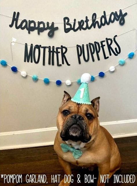 Mother Puppers, Lets Pawty, Puppy Pawty, Happy Birthday Mother, Dog Birthday Gift, Dog Birthday Cake, Birthday Mother, Dog Photoshoot, Pom Garland