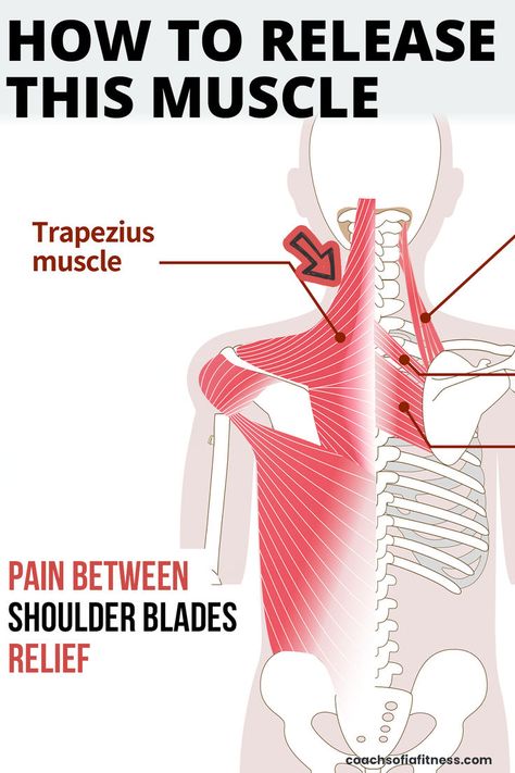 Simple release technique to release back pain and muscle knots between the shoulder blades and upper back. You'll get long-term relief from pain and tightness in the upper trapezius and mid-back pain area Trapezius Muscle Pain, Shoulder Pain Remedies, Upper Back Pain Relief, Shoulder Muscle Pain, Neck Pain Exercises, Neck And Shoulder Exercises, Muscle Knots, Shoulder Pain Relief, Neck Exercises