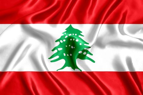 Flag of lebanon silk close-up background | Premium Photo #Freepik #photo #national #lebanon #lebanon-flag #lebanese-flag Lebanese Flag, Lebanon Flag, Disney Frames, Best Life Advice, Flag Photo, Beirut Lebanon, Beautiful Images Nature, Cat Wallpaper, Beirut