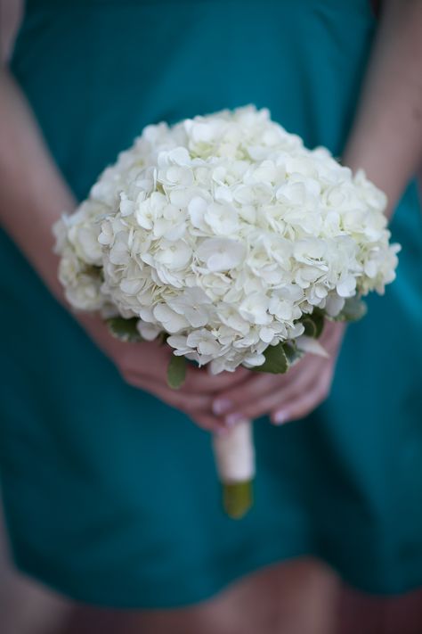 Simple white hydrangea bouquet for the bridesmaids | St Louis Wedding Hydrengas Bouquet, White Bridal Bouquet Hydrangea, Hydrangea Bridesmaid Bouquet, White Hydrangea Bouquet, Hydrangea Bridal Bouquet, Wedding Dogs, Wedding Bridesmaid Flowers, Small Wedding Bouquets, Hydrangea Bouquet Wedding