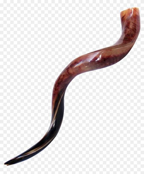 Shofar Instrument, Shofar Horn, Biblical Art, Png Clipart, Transparent Png, Musical Instruments, Horn, Png Images, Musical