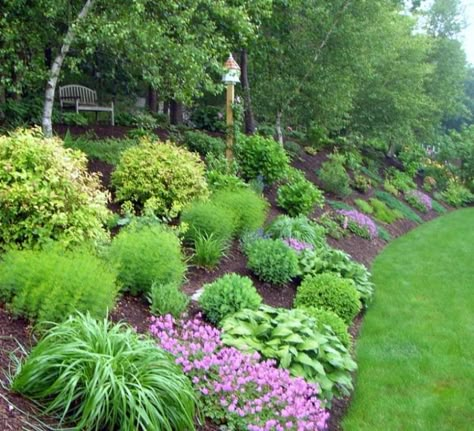 Backyard Hill Landscaping, Garden Design Ideas On A Budget, Sloped Backyard Landscaping, Landscaping A Slope, Landscaping On A Hill, Hillside Garden, Sloped Backyard, Hillside Landscaping, Garden On A Hill