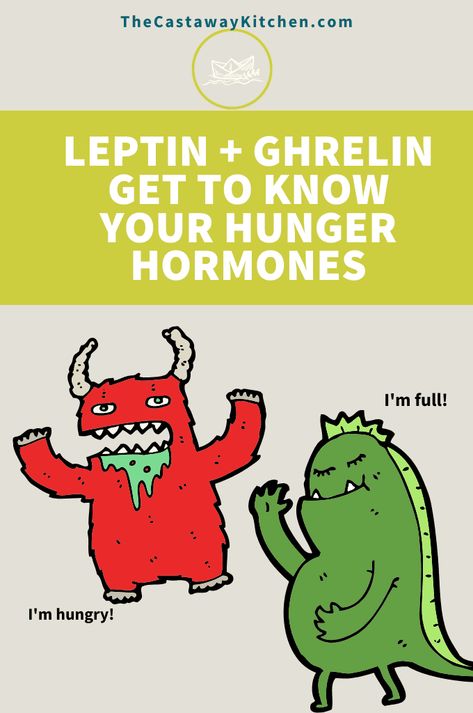 Understand your hunger hormones and the roles they play in how you feel! Ghrelin and leptin are two hormones that have been recognized to have a major influence on energy balance. Leptin And Ghrelin, Adrenal Cortex, Leptin Resistance, Peripheral Nervous System, Energy Balance, Daily Yoga Workout, Medical Kit, Adipose Tissue, Hormone Balancing