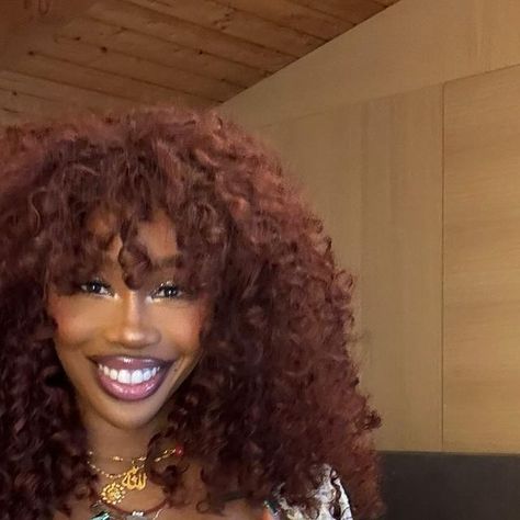 SZA on Instagram: "Pardon me while clear my camera roll" Sza Hair, Sza Pfp, Sza Instagram, Cardi B Video, Fairy Aura, Sza Singer, Me Aesthetic, Prettiest Celebrities, I Love Being Black