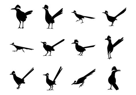 Free Roadrunner Bird Silhoutte Vector Pack Roadrunner Silhouette, Road Runner Drawing, Roadrunner Tattoo, Roadrunner Art, Road Runner Bird, Roadrunner Bird, Runner Tattoo, Desert Animals, Desert Art