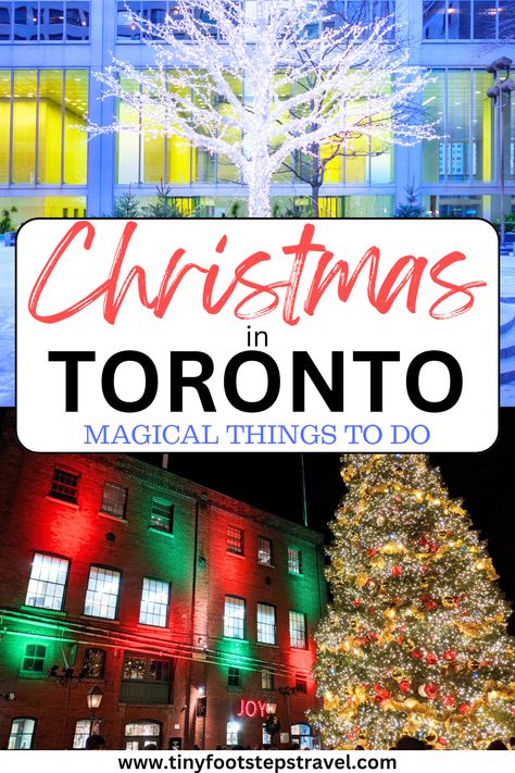 Here are all the amazing things there are to do in Toronto at Christmas Christmas In Toronto Canada, Toronto Canada Winter, Toronto December, Christmas In Toronto, Things To Do At Christmas, Toronto Winter, Canada Christmas, Visit Toronto, Eaton Centre