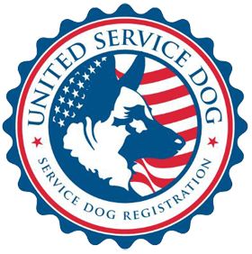 Service Dog and Emotional Support Animal Registration | Register your Dog in Minutes Fox Terrier Puppy, Meds For Dogs, Psychiatric Services, Dog Angel, Service Dog Vests, Emotional Support Dog, Emotional Support Animal, Card Templates Free, Dog Help