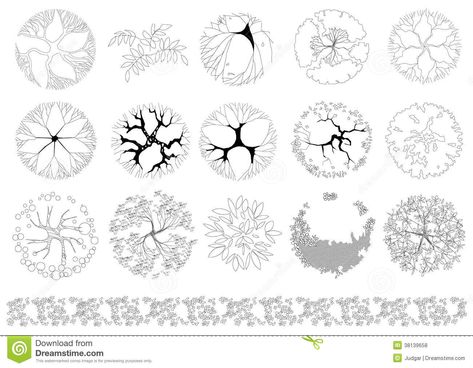 Set Of Trees And Shrubs. Top View. Stock Vector - Illustration of clump, linear: 38139658 Shrubs Top View, Tree Architecture Drawing, Bush Drawing, Tree Architecture, Trees Top View, Drawing Tree, Landscaping Trees, Tree Inspiration, Zestaw Ikon