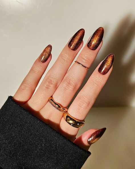 espresso velvet nails, are we liking brown for spring/summer? swipe for the vid! 🤎🌞 Ft. @gelcare.official Jelly Brown @dndgel Ember Enchantress 10 #magnetic #velvetnails #espresso #spring #cateyenails #pressons #grunge #retro #pinterestnails #90s #sodaonmylips #grungecore #velvetdynasty #torontonails #nailinspo #gelpolish #inbeautmag #nailstagram #springnails #brown #gelnails #brownnails #2024nails #ongles #uñas #gold #aesthetic Browns. Easy Velvet nails. Espresso. Press on nails. Magnet... Copper Brown Nails, Shimmery Brown Nails, Silver Velvet Nails, Cooper Chrome Nails, Brown Magnetic Nails, Brown Glitter Nails Fall, Brown Velvet Nails, Metallic Brown Nails, Brown Cateye Nail