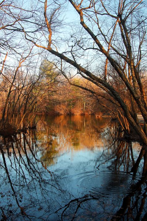 Allaire State Park NJ State Park, State Parks, New Jersey, Places To Go, Abstract Artwork