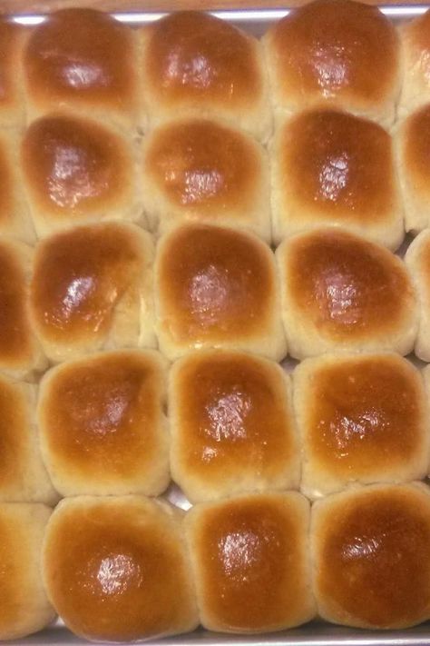 Dee's Hawaiian Sourdough Rolls Sourdough Hawaiian Rolls Recipe, Hawaiian Sourdough Rolls, Sourdough Discard Hawaiian Rolls, Sourdough Hawaiian Rolls, Hawian Roll Recipes, Sourdough Rolls From Starter, Hawaiian Buns, Sourdough Rolls, Discard Recipes