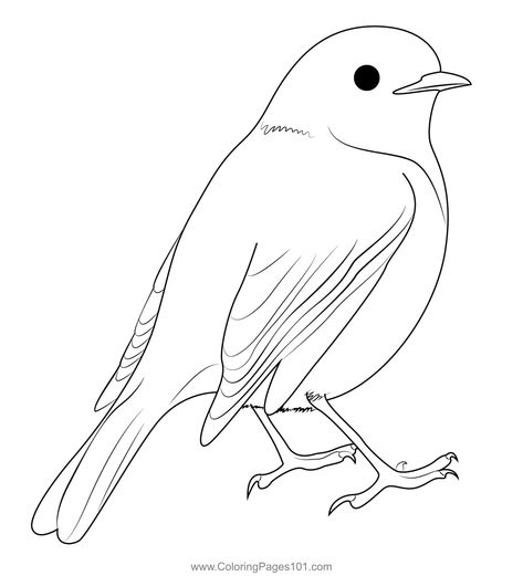 Cute American Robin Coloring Page Robin Drawing, American Robin, Printable Cute, Outline Drawings, Free Kids, Coloring Sheets, Printable Coloring, Printable Coloring Pages, Coloring Pages For Kids