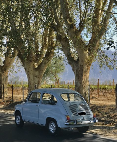 Fiat 600 en Cafayate  #Fiat600 #Vintage #Retro #Oldcars #Fito #Auto #Antiguo Fiat 600 Vintage, Auto Vintage, Fiat 600, Visual Board, Easy Diy Gifts, Fiat 500, Art Plastique, All Design, Koala