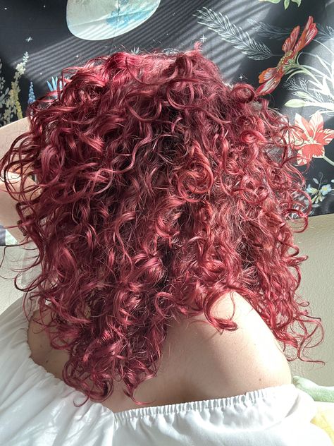 Dyed Dark Curly Hair, Curly Hair Color Inspiration, Medium Length Curly Hair Dyed, Dark Pink Curly Hair, Wine Red Hair Curly, Red Dyed Curly Hair, Cherry Curly Hair, Maroon Curly Hair, Red Hair Color Curly