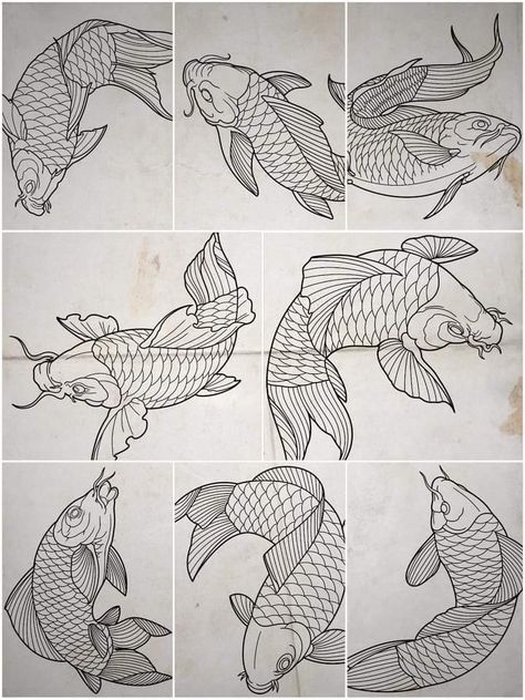 Koi Fish Design Tattoo, Japanese Traditional Koi Fish, Foo Dog Tattoo Meaning, Dragon Tattoo Drawing, Japanese Koi Fish Tattoo, Carp Tattoo, Koi Dragon, Dragon Tattoo Sketch, Koi Tattoo Design