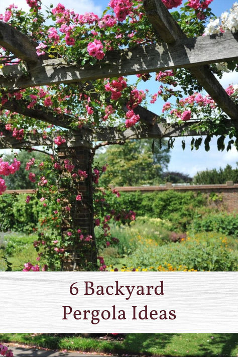 Pergolas add so much character to your backyard! Read our blog for our favorite backyard pergola ideas. 🌸 Rose Covered Pergola, Pergola With Wisteria, Pergola Flowers, Pergola Ideas Backyard, Making Planters, Backyard Pergola Ideas, Pergolas Ideas, Column Ideas, Rustic Pergola