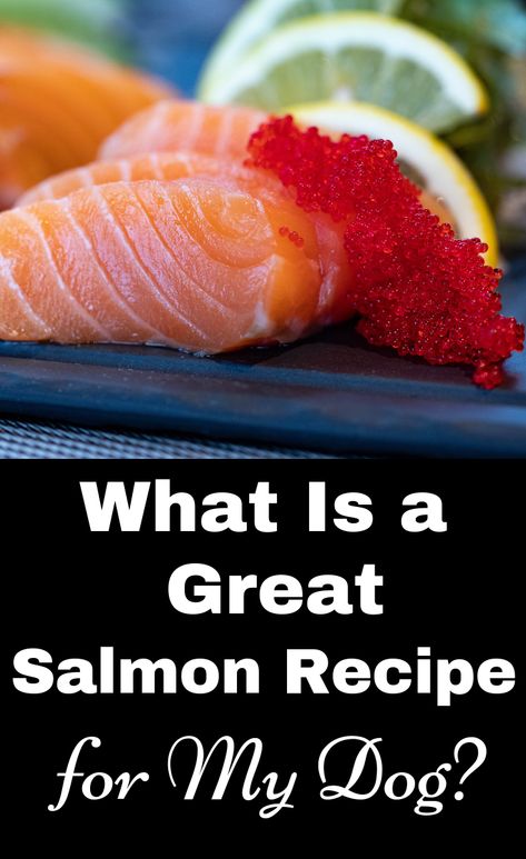 Salmon Recipes For Dogs, Dog Salmon Recipe, Dog Food Recipes With Salmon, Salmon For Dogs Recipe, Homemade Salmon Dog Food Recipes, Salmon Dog Food Recipes, Salmon For Dogs, Homemade Dog Food With Salmon, Salmon Treats For Dogs