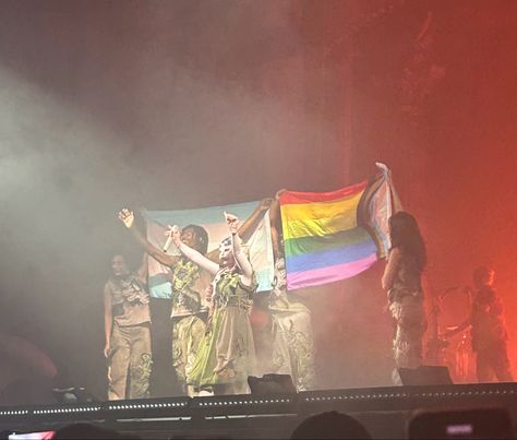 Melanie dancers/ Melanie Marginez holding gay flags/ Melanie Martinez American Flag, Melanie Martinez Concert, Gay Flag, Melanie Martinez, American Flag, Dancer, Flag, Concert